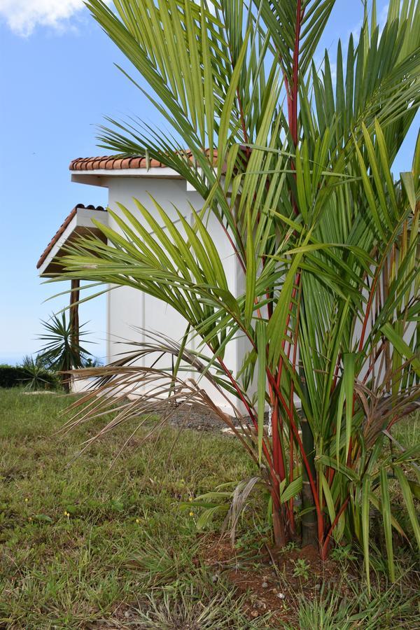 Hotel Peace & Lodge ซามารา ภายนอก รูปภาพ